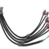VX-INHARNESS-4CH-RP 1 VX-INHARNESS-4CH-RP -Audio Elite Zone VX INHARNESS 4CH RP