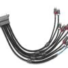 VX-INHARNESS-5/6CH-RP -Audio Elite Zone VX INHARNESS 5 6CH RP